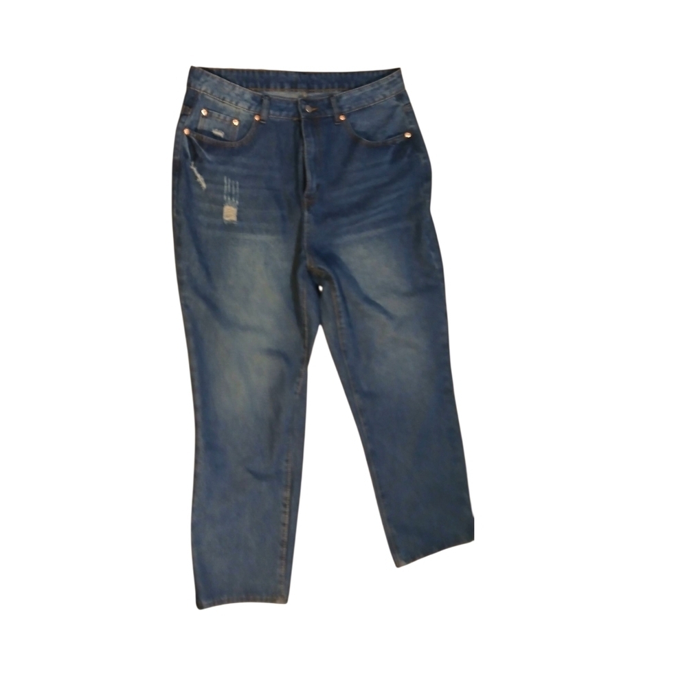 High Waist Straight Leg Cropped Jeans Size 1X